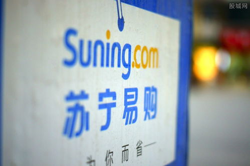 蘇寧易購 從民營企業巨擘到零售業領軍者
