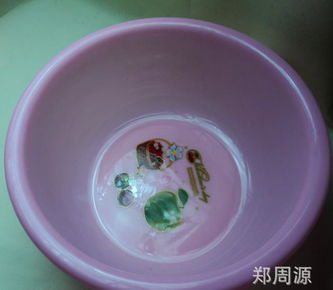 創新設計，源頭直供 探索2元新款塑料盆在家用與批發市場的無限潛力
